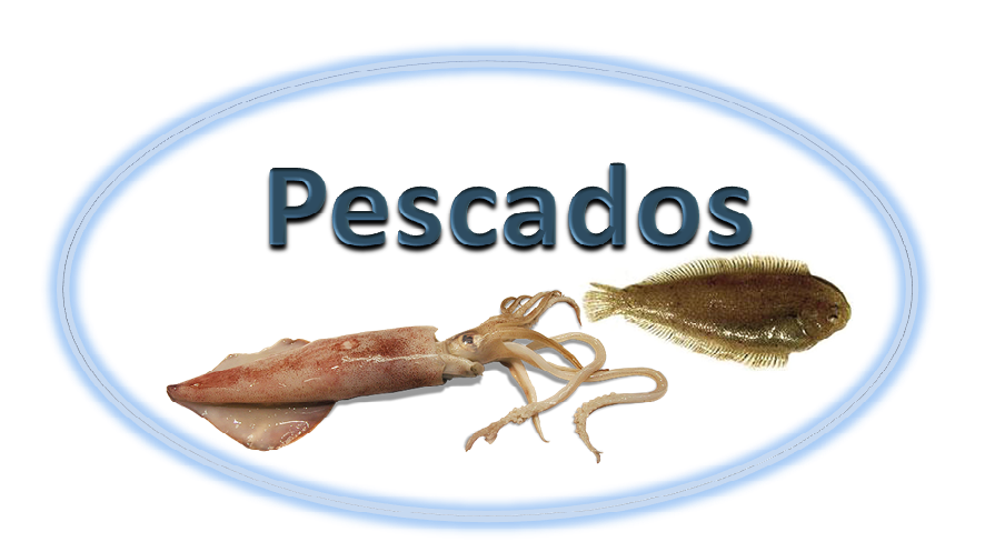 pescados mariscoschica.es